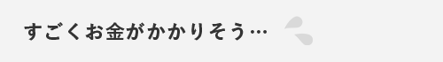 すごくお金がかかりそう…